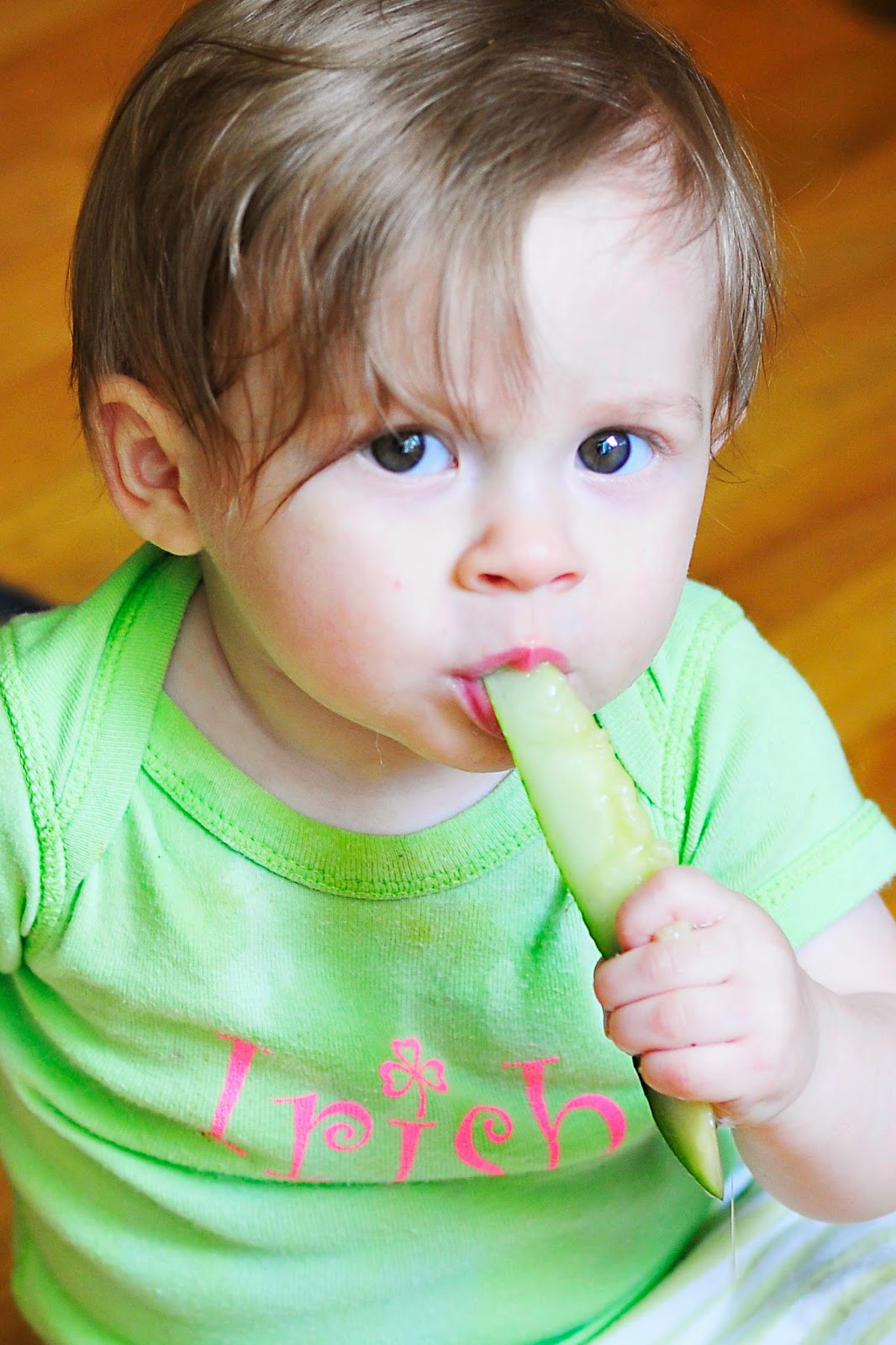 Simply Gourmet Refrigerator Dill Pickles