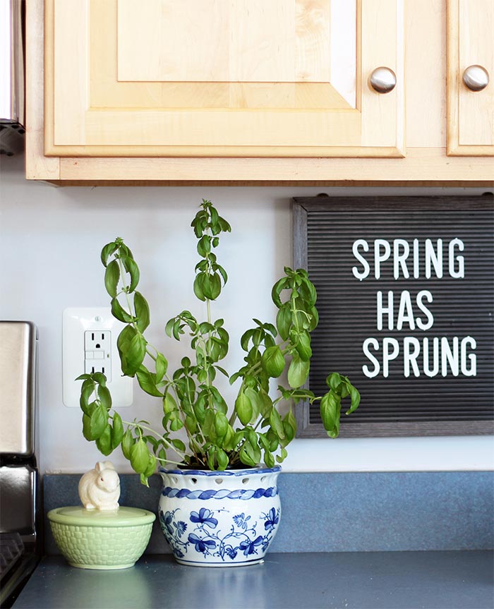 How to Keep Your Home Clutter Free After You Declutter Sunny Day Family