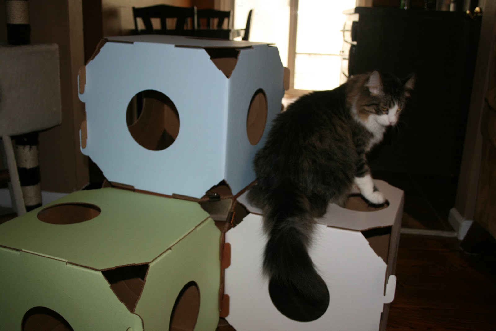 Trying To Go Green: Catty Stacks