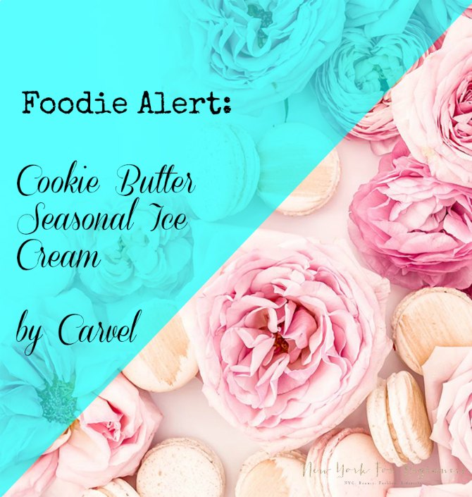 Carvel Limited Edition Cookie Butter Ice Cream New York For Beginners