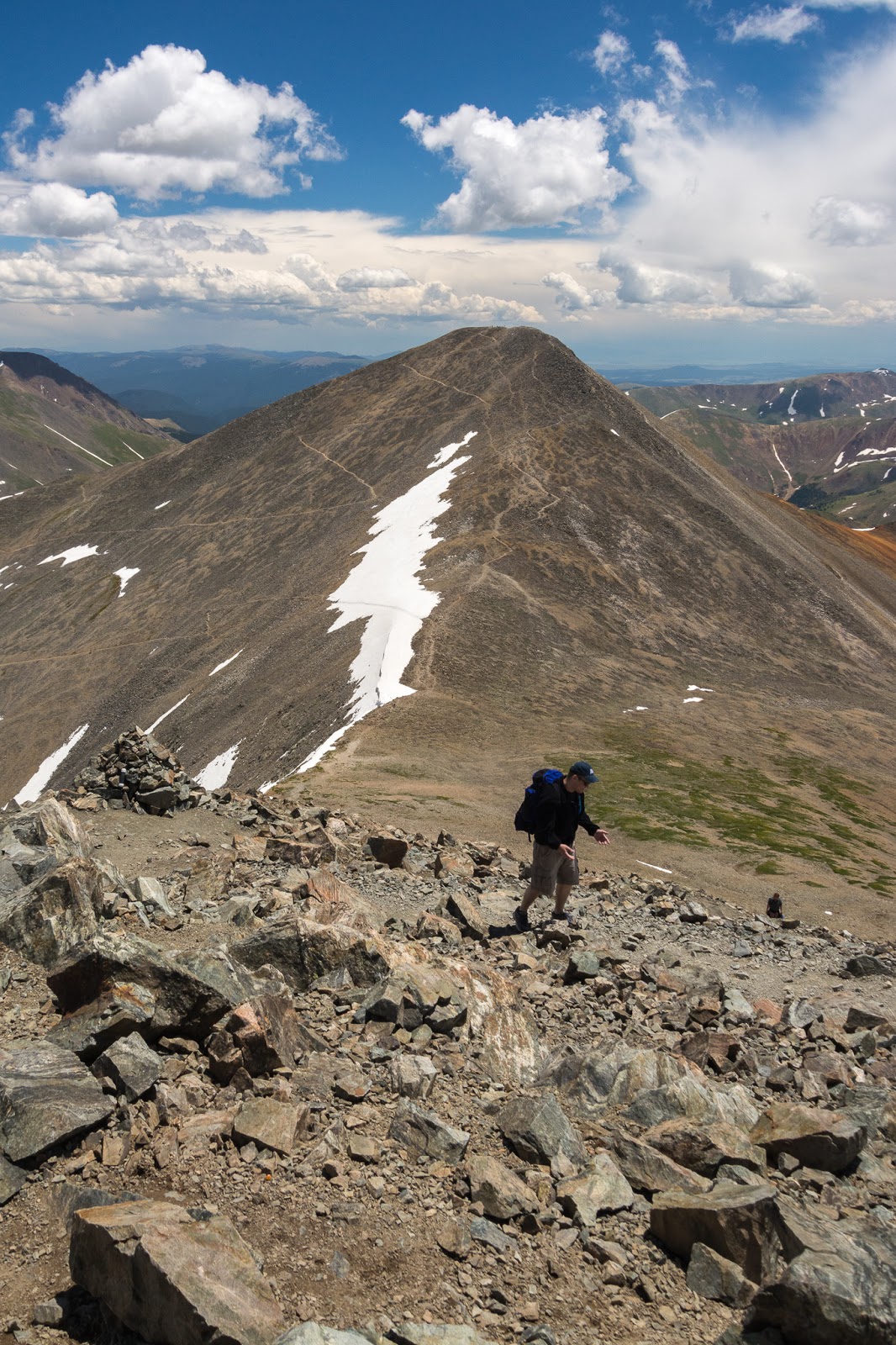 A Tree Falling Grays Peak and Torreys Peak