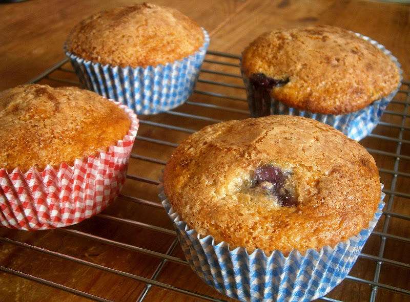 Eat Rainbow Love Low fat blueberry muffins