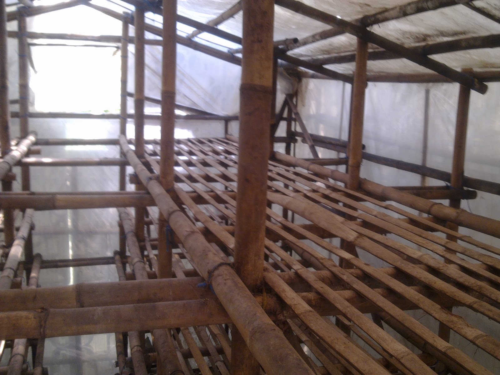 Pembuatan Kumbung Jamur Merang