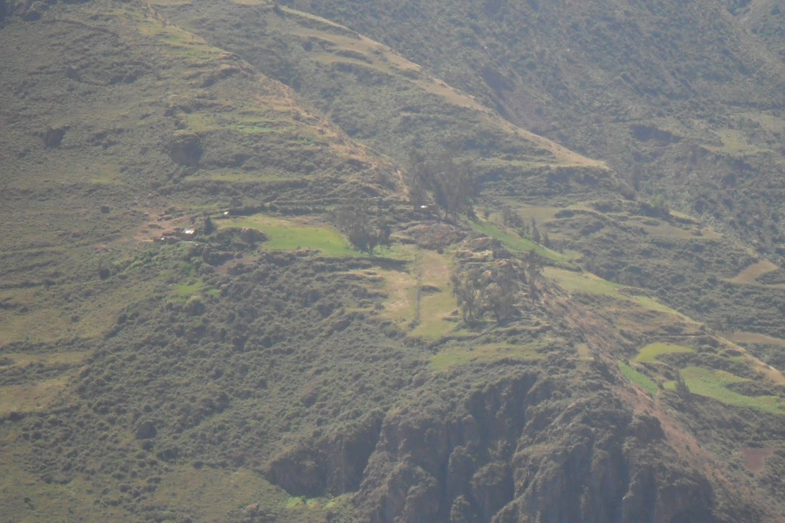 MOPDEMA LA BELLEZA DE NUESTRO PUEBLO, MALVAS