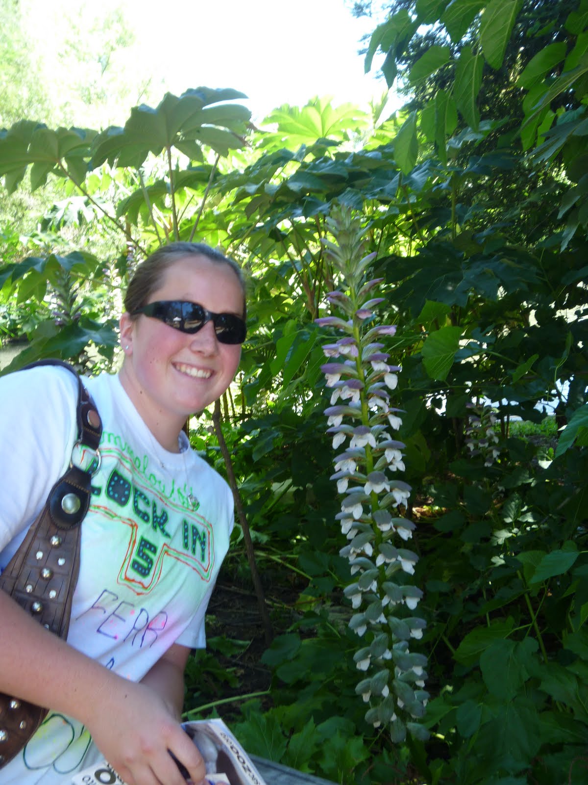 Katie's Bio Scavenger Hunt Radial Symmetry flower