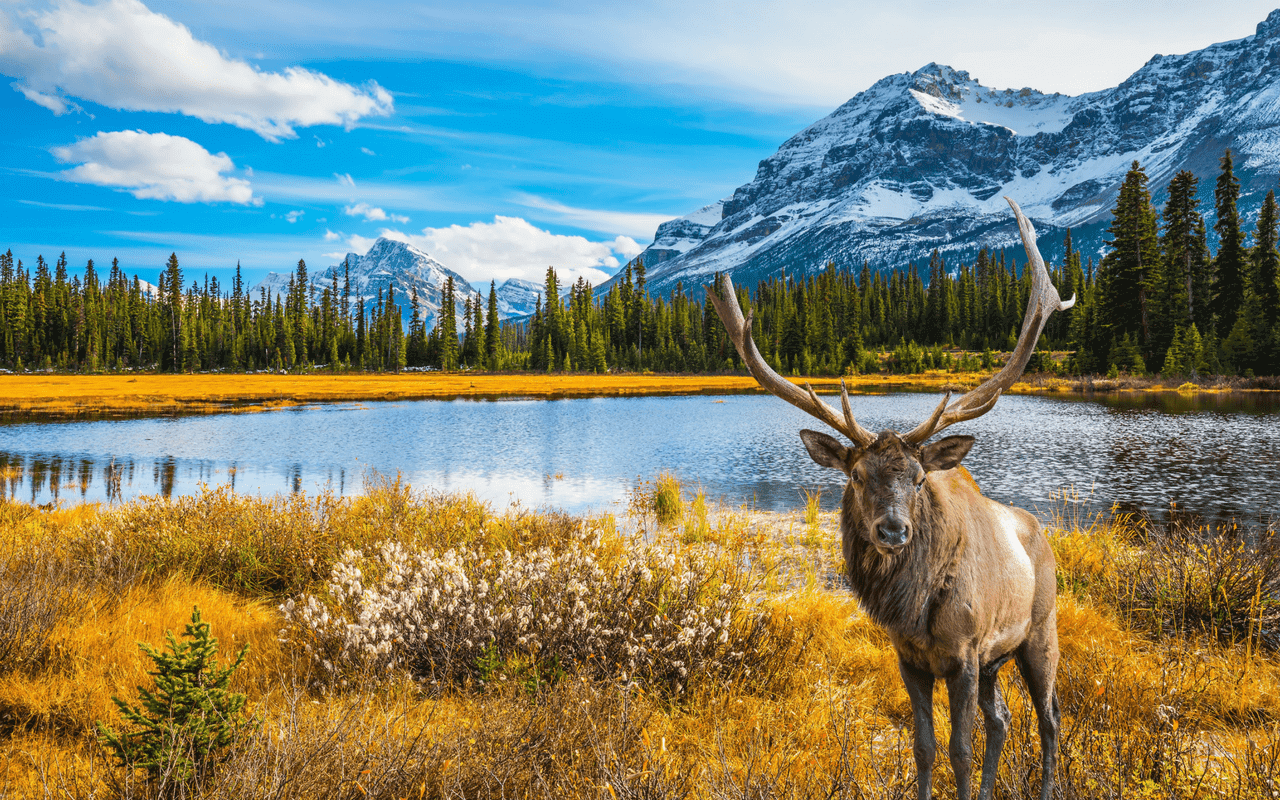 Belas Paisagens do Canadá