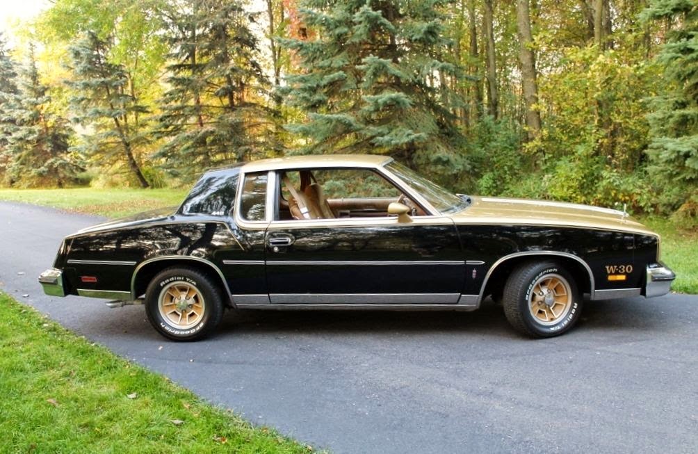 © Automotiveblogz: 1980 Oldsmobile 442 Photos