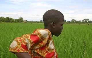 Agriculture is at the heart of Africa