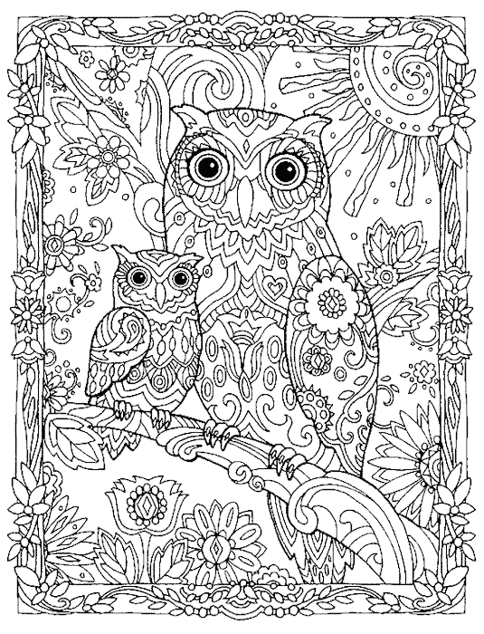 Gambar Mewarnai Gambar Burung Hantu Dewasa Terbaru Biji Bijian Di