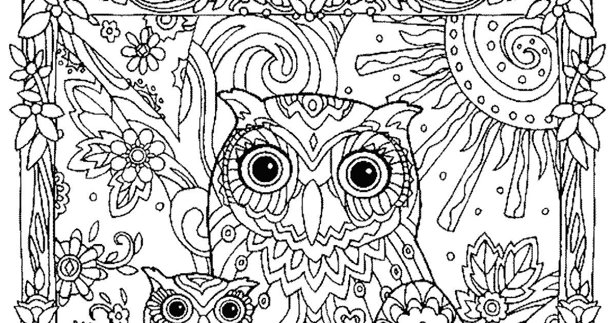 gambar mewarnai burung hantu kecil