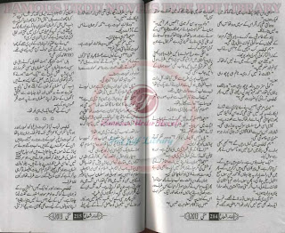 Free Urdu Digests: Shuaa Digest May 2013 Online Reading.