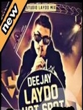 Dj Laydo-Hot Spot Party 2016