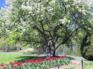 Boston Photos: Boston Public Garden