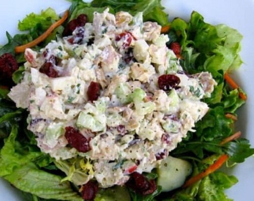 Healthy Chicken Salad with Apples & Cranberries Healthy Chicken Salad with Apples & Cranberries