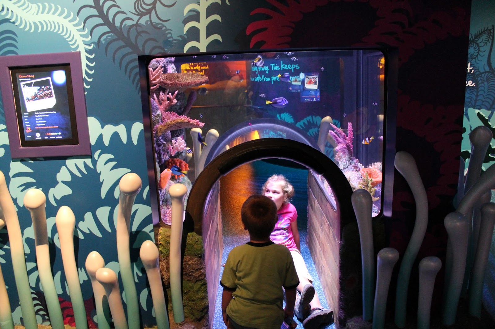 Adventures Among Us Sea Life Aquarium Kansas City, MO