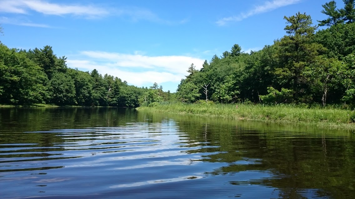 Folded Gingham Kayaking on Mousam River, Kennebunk, ME