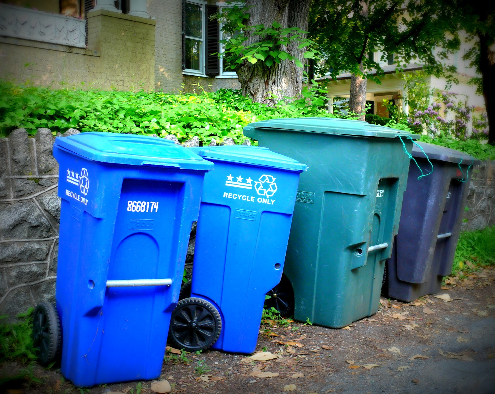 All Life Is Local DC DPW's Inhome Concierge Trash & Recycling