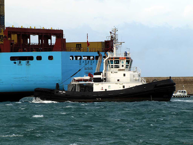 Maersk Line container ship Baltimore (IMO 9313917), tugboat Tito Neri (IMO 9319167), Livotno