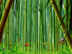 bamboo forest desktop animated