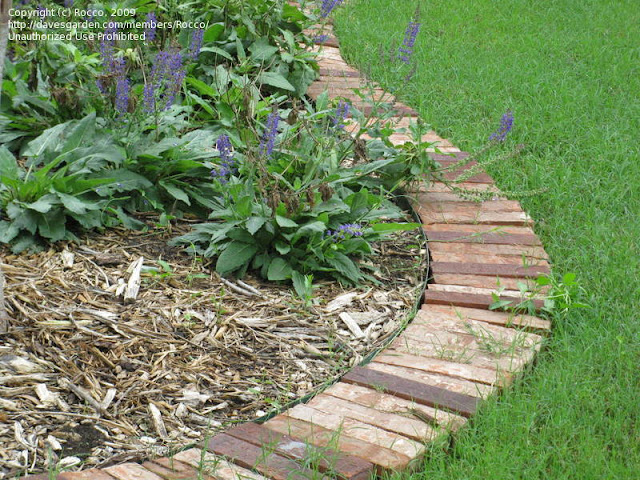 Brick Garden Edging8