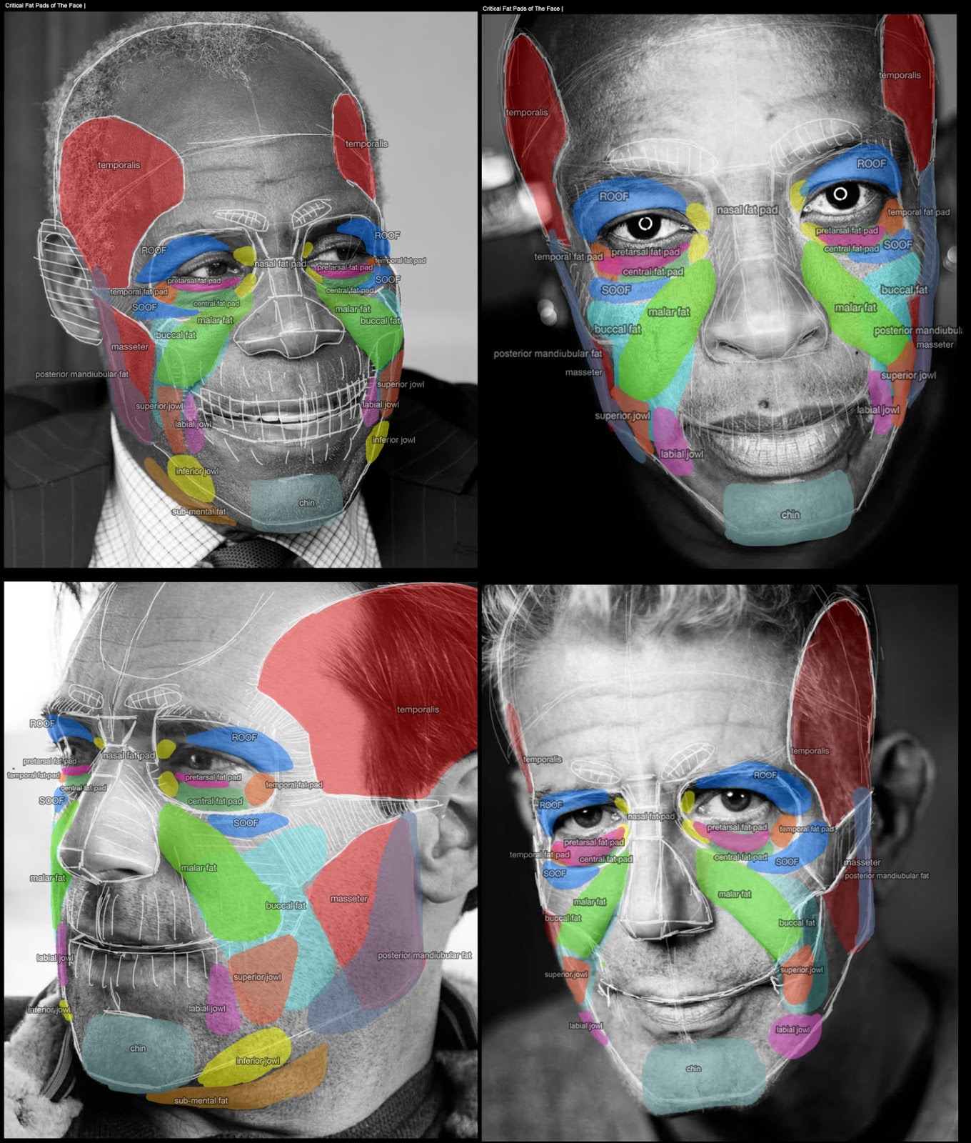 Portraiture & Facial Anatomy Character Art Blog