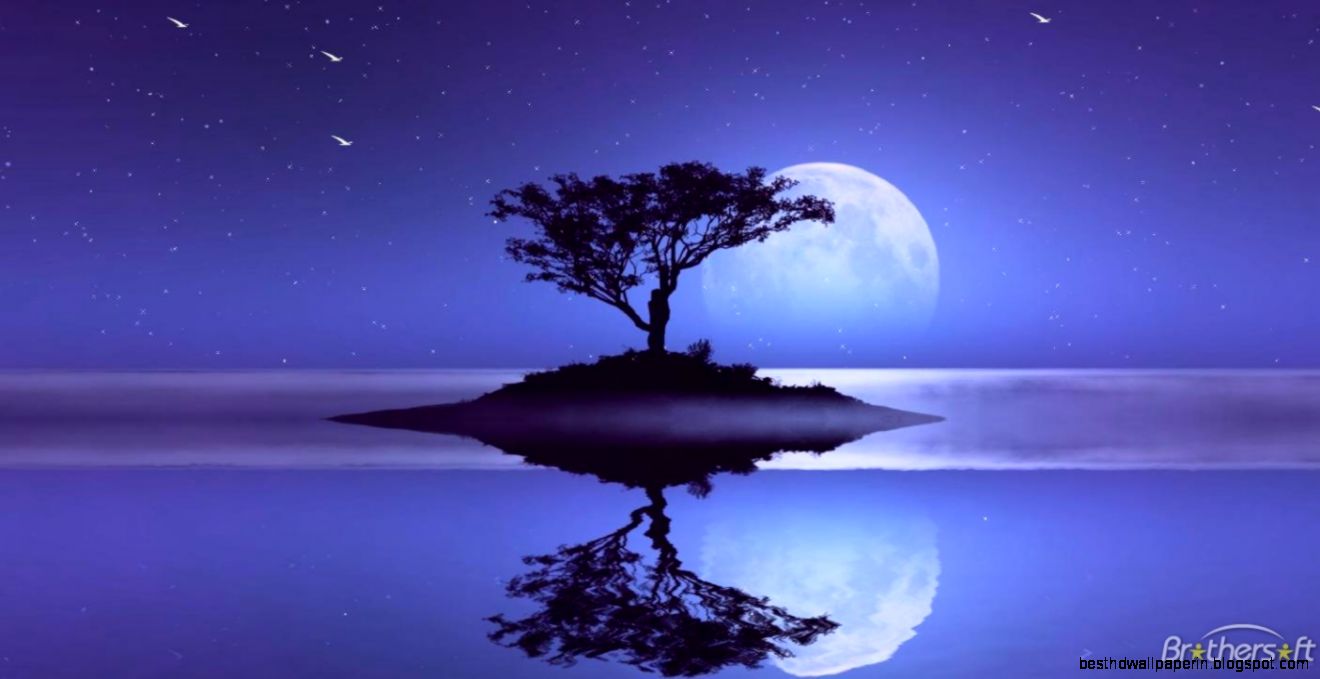 Interactive Screensavers For Windows 8  Best Background Wallpaper