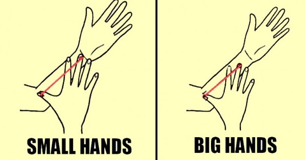 Awesomequotes4u.com: THIS Is What The Size Of Your Arm Says About Your