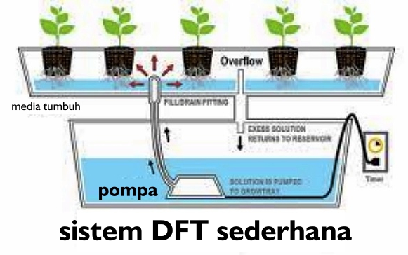 Terbaru 32+ Desain Gambar Budidaya Hidroponik Sistem DFT