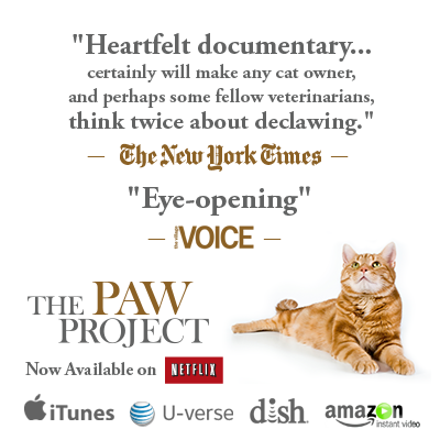 The Paw Project documentary by Dr Jennifer Conrad now on iTunes, U-verse, Dish, Amazon, Netflix