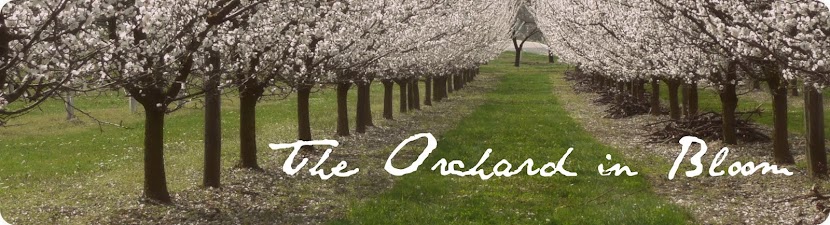 The Orchard in Bloom