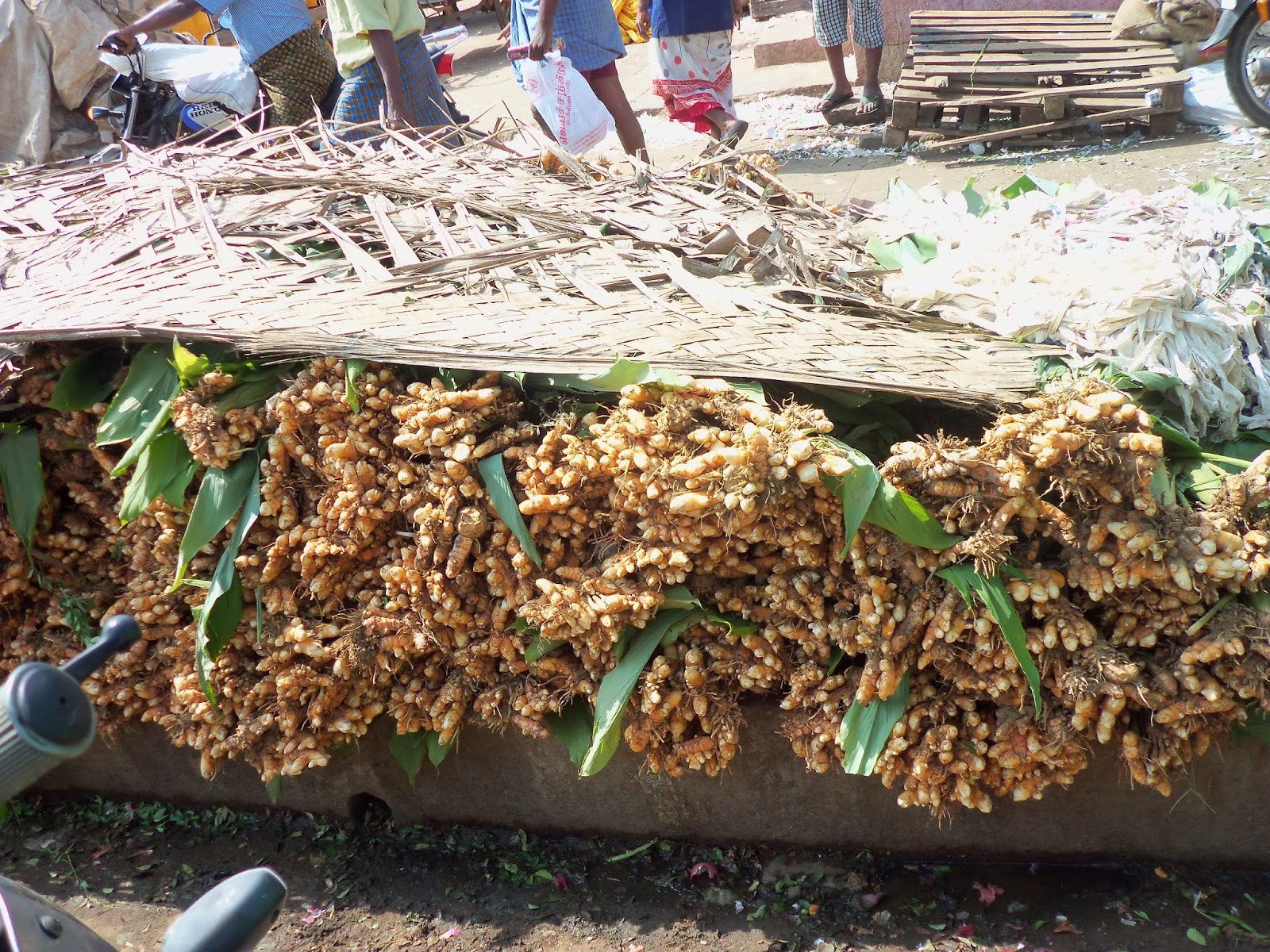 தமிழ் பொங்கல் Tamil Pongal Loads of Manjjal / Turmeric