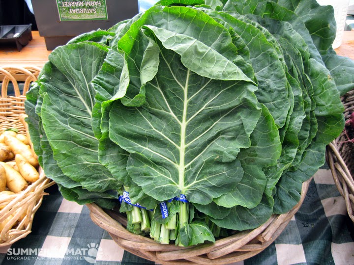 10 vegetables to grow taller!!! tamil news