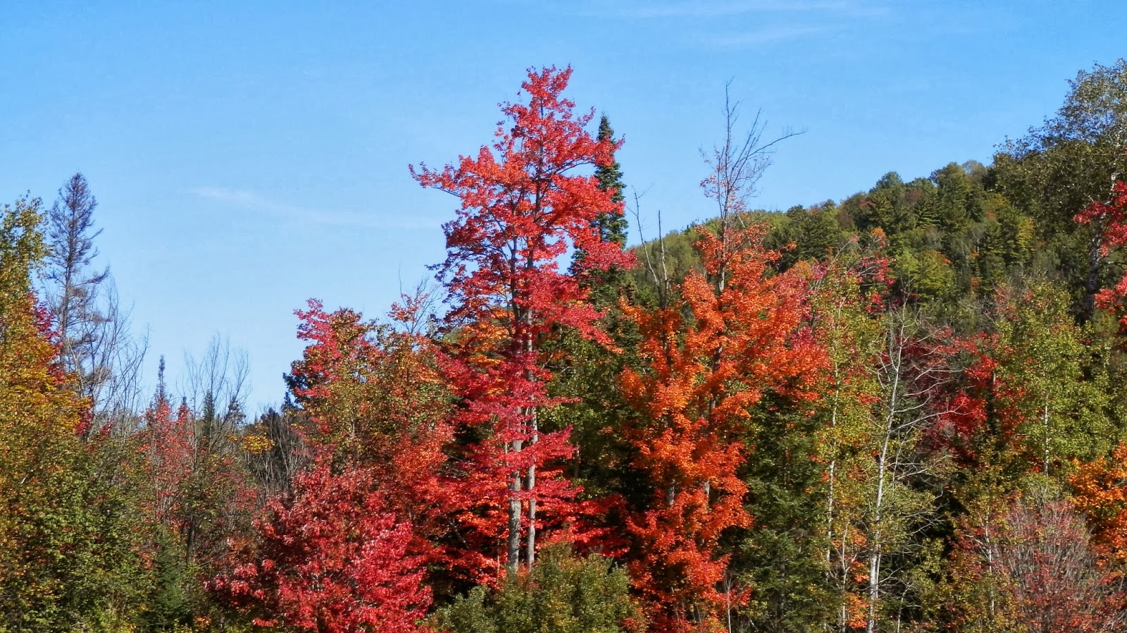 Travel with Kevin and Ruth Fastest Border Crossing Ever!