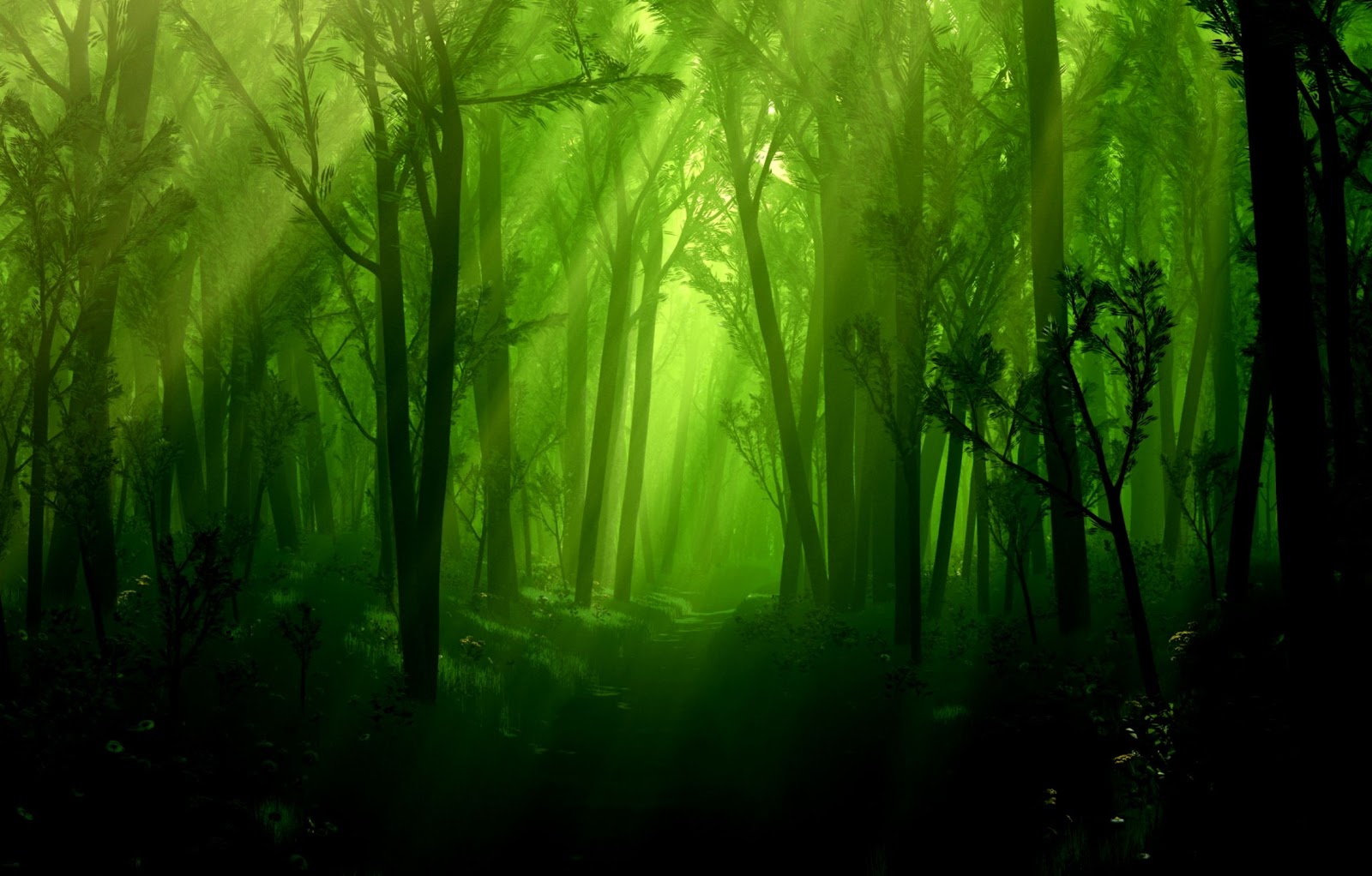 Dark Enchanted Forest