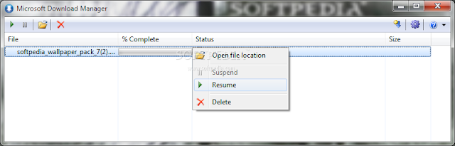 تحميل برنامج مايكروسوفت داونلود مانجر مجانا Microsoft Download Manager 1.2.1