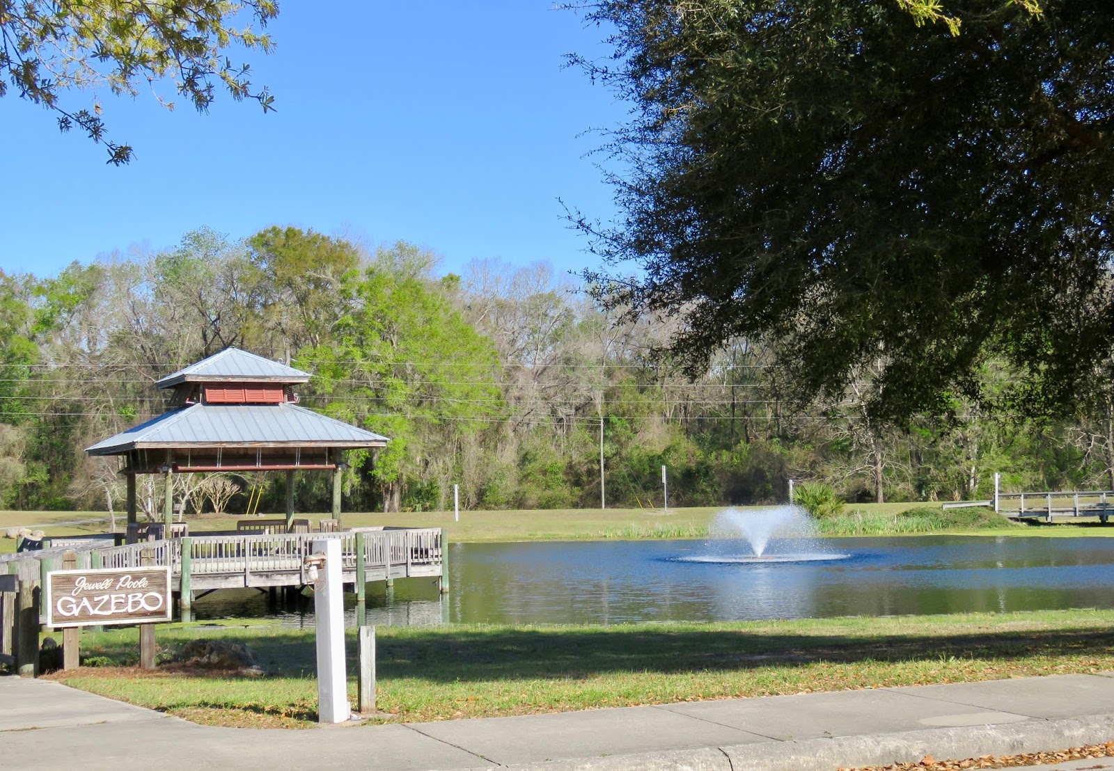 Where's Liz? 2017 Dowling Park, FL...where I'll retire after RVing
