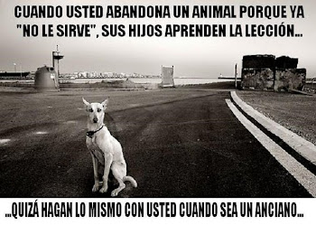 No al Abandono