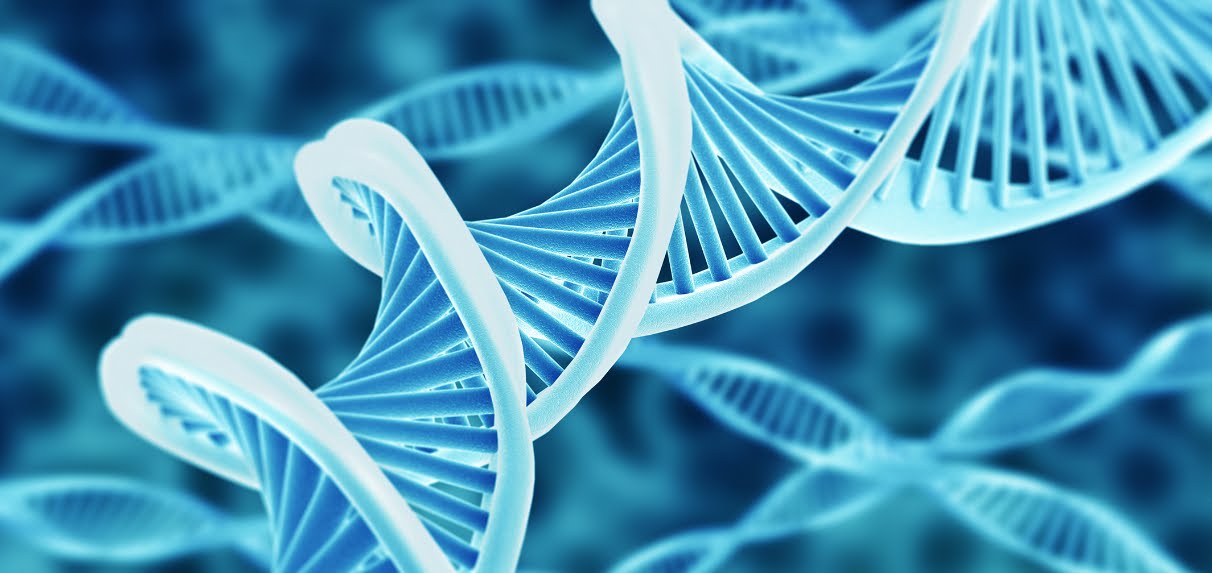 Anche i papà possono trasmettere DNA mitocondriale ai propri figli.