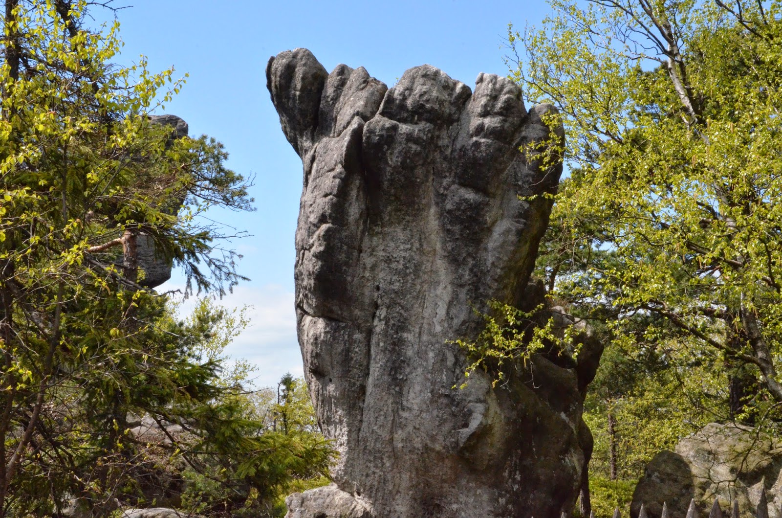 Szczeliniec Wielki Chwytaj życie!