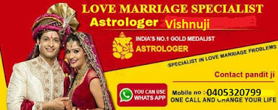 http://www.astrologervishnuji.com/