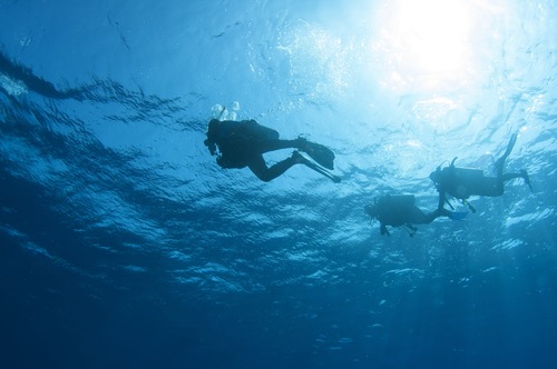 Plumb the Depths of Style: Essential Gear for DiveMasters