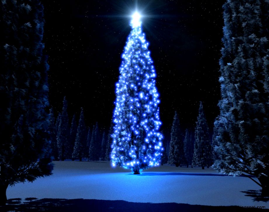 Christmas Tree History   myfreetutorials