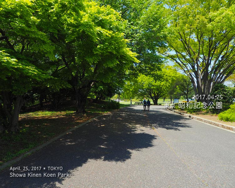 昭和記念公園のカナール
