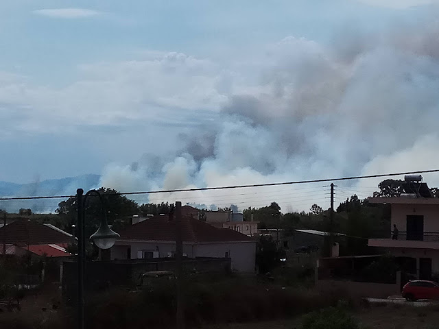 Πρέβεζα: Οχτώ οχήματα της Πυροσβεστικής, 16 άνδρες και αεροπλάνα, στις μάχες, με τη φωτιά, στη Σαμψούντα!