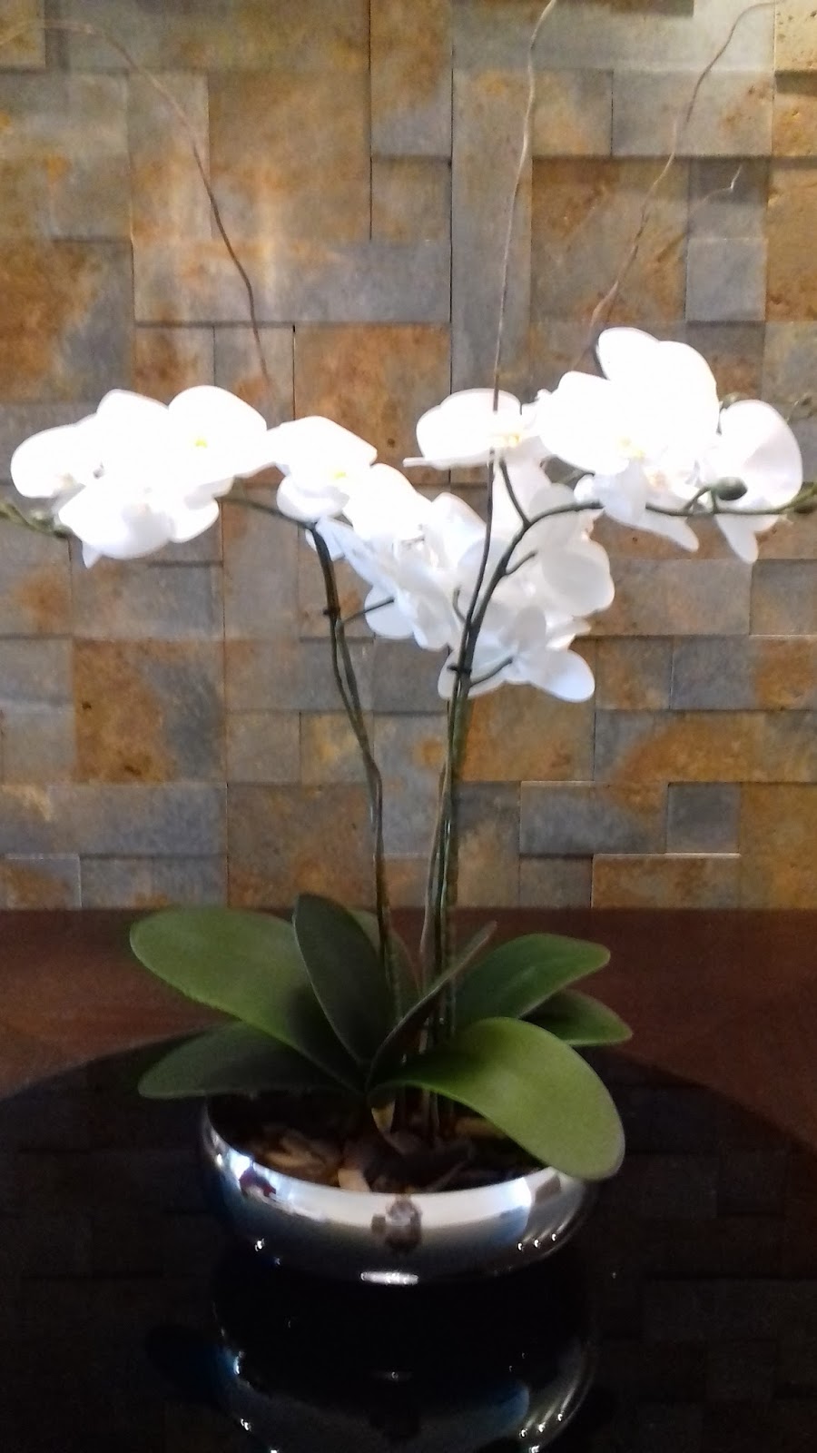 Samara Flores: Arranjo com 3 orquídeas brancas de silicone no vaso terrário  prateado