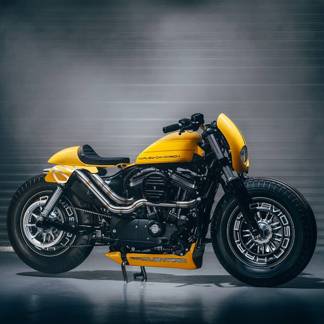 Harley Davidson 48 By Shaw Speed And Custom Hell Kustom