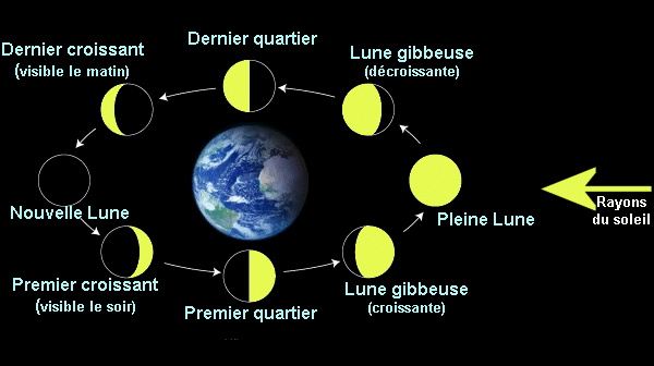 les 8 phases de la lune