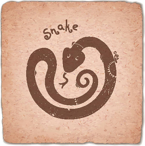 Snake Image