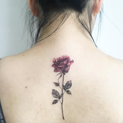 Isso só rosa