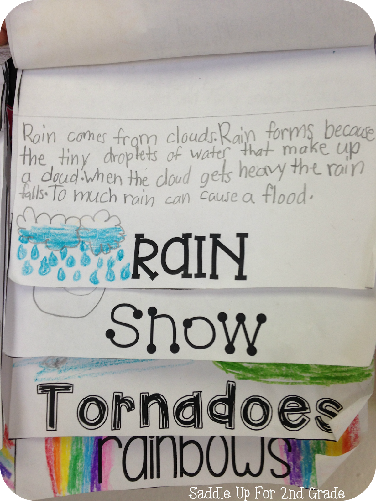 Weather Fact Flip Books - Saddle Up for 2nd Grade
